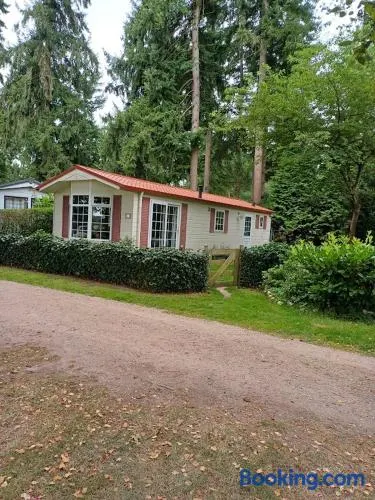 Woudthuisje - Image 1