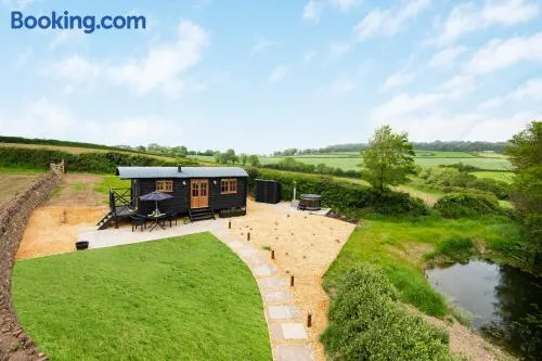 Daisy Park Shepherds Hut - Image 1