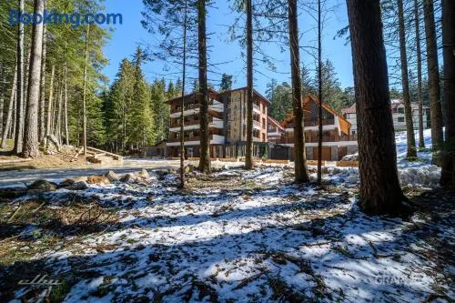103 Alpine Hotel - Image 1