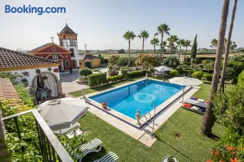 Casa de Campo con Piscina en Sevilla en los Palacios y Villafranca - Image 1