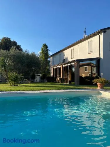 il leccio - Image 1
