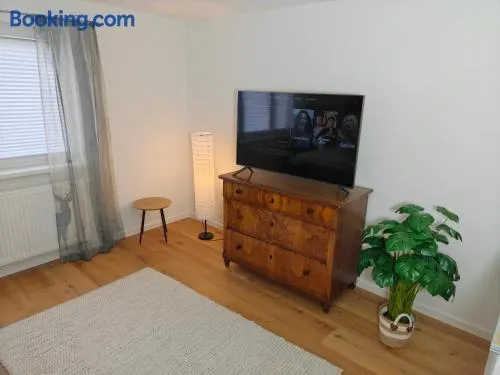 Cozy Modern Apartment in Seelbach near Europa Park - Image 1