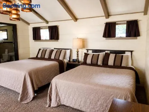 Room 14-2 Queen SuiteWoodland Motor Lodge - Image 1