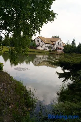 Złota Rybka - Image 1