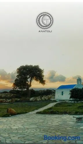 Anatoli - Image 1