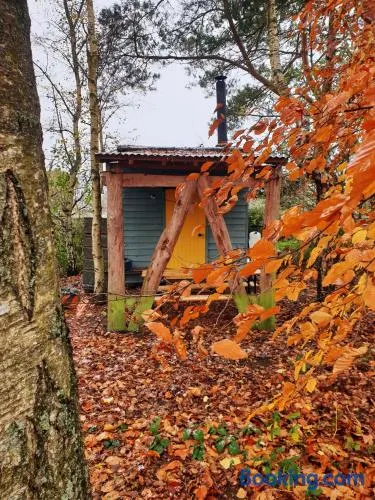 Delightful Shepherd hut - Image 1