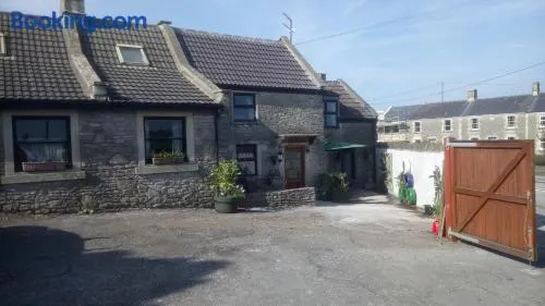 The Old Swan - Image 1