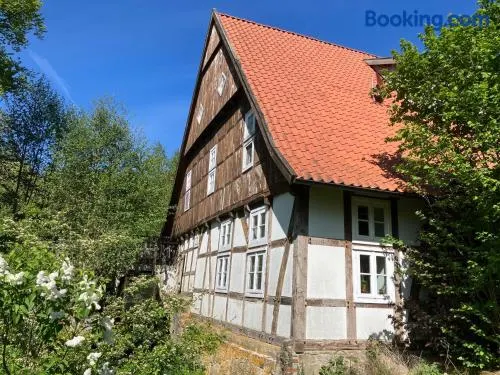 In der Wassermühle - Image 1