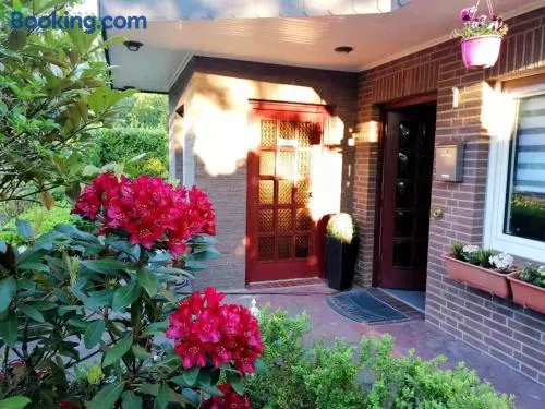 Appartment Daji - Image 1