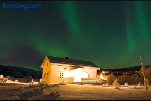 The house in Vika - Image 1