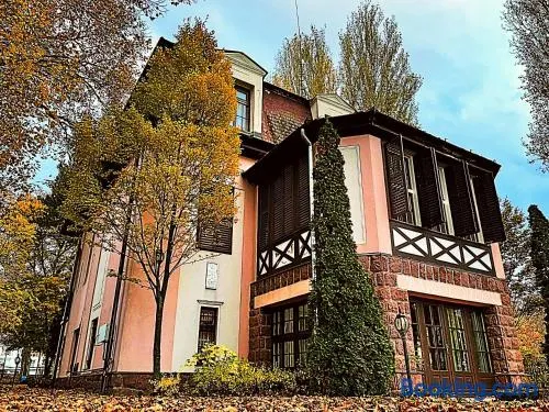 Party Villa Holiday Rent Balatonfoldvar - Image 1