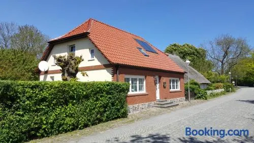 Matti - Image 1
