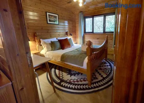 Luxury Wood Lodge with sauna, log burner & private woodland garden - Wnion Wood Lodge - Image 1