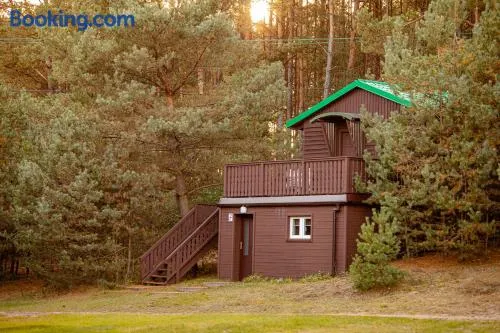 Camping Wyzwanie Bory Tucholskie - Image 1