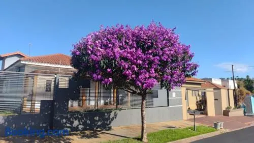 Casa - Matão - SP - Image 1