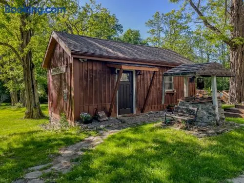 Cozy Cabin Gateway with Pool and Firepit - Image 1