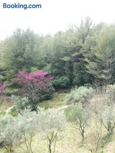 Jardin dans les Pins - Image 1