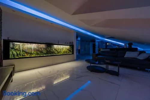 Exclusive Spa Belgrade Apartment with Jacuzzi and Sauna - Image 1