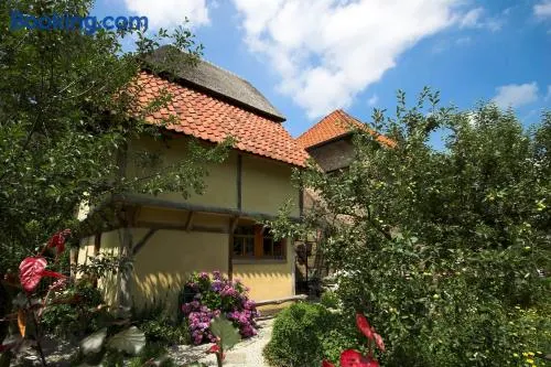 B&B Tspijker - Image 1