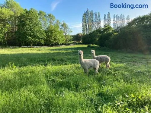 Hillcroft Holiday - Dragonfly Lodge, Woody Hut & Alpaca My Tipi Glamping - Image 1