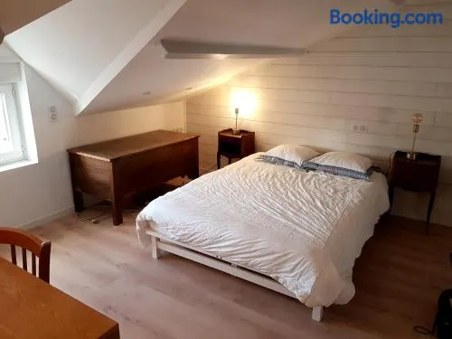 Jolie SUITE de 28m² - LA HUME Centre - Image 1