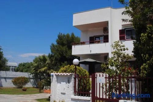Annavi - Image 1