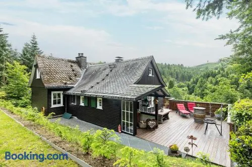 Tannenhäuschen Sauerland - Image 1