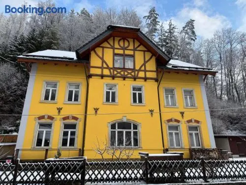 Ferienwohnung Pfaffenstein in der alten Försterei - Image 1