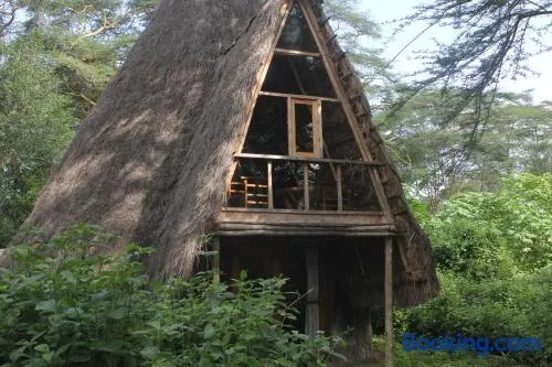 Oasis Eco Camp - Image 1