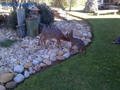 Grysbok Self Catering Accommodation - Image 1