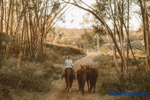 San Diego Trail Guest Ranch - Image 1