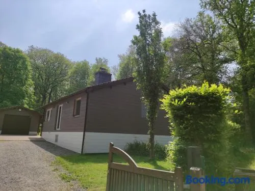 bois de biron - gîte - vakantiehuis - chalet - Image 1