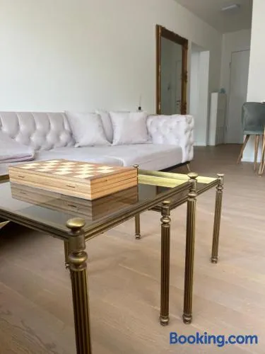 Best located & fully equipped apartment at Basel SBB main station - Image 1
