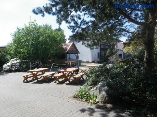 Zum Sudhaus im Herzen der Schorfheide - Image 1