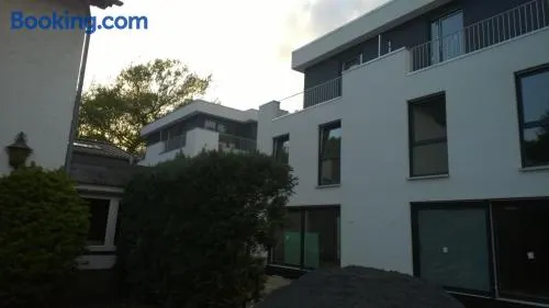 House in Cologne - Image 1