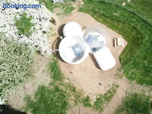 Wooded Bubble - Image 1