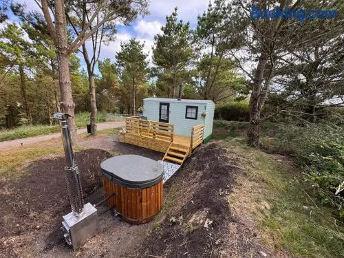 Evergreen hut - Image 1
