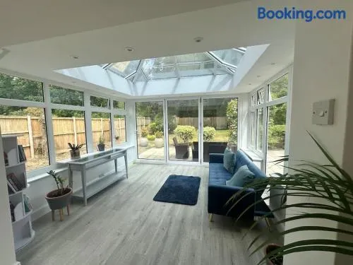 Charming Woodland Cottage Retreat Nr Cobham Sleeps 5 - Image 1