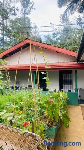 Kvs Homstay - Image 1