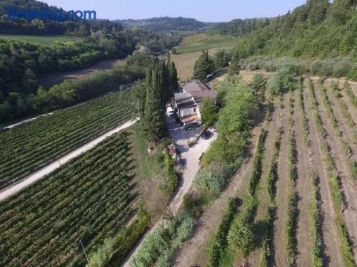 Agriturismo Lucciano - Image 1