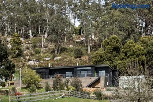 Lake View Derby - Image 1