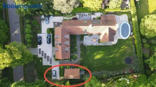 B&B Goudvink - Image 1