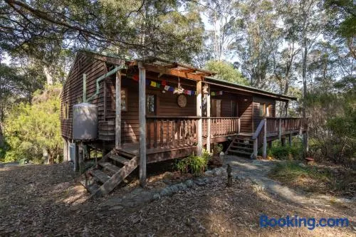 129 Murrah - Image 1