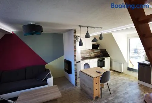 Gemütliche Dachwohnung mit oder ohne Dampfsauna mit Dachterrasse nebeneinander - Image 1
