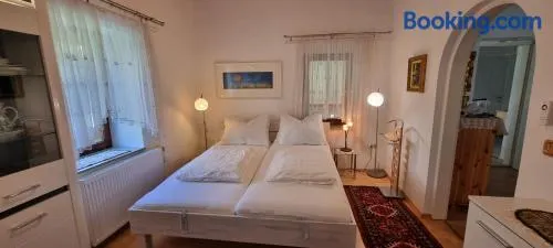 Innenstadtgarten-Wohnung - Image 1
