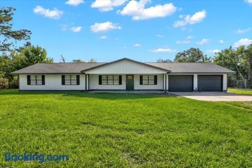 Updated 4 bedroom home in Oragnefield - Image 1