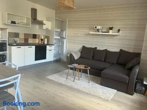 Les Bêtises, Duplex Hyper-centre - Image 1