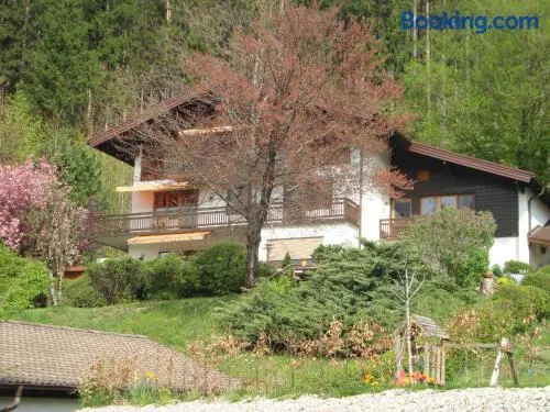 Haus Margrit Ferienwohnung in Sonnenlage - Image 1