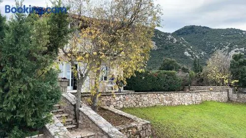 Alemarni Parnassos - Image 1