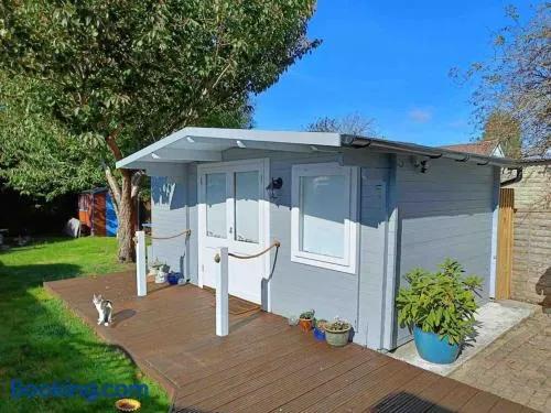 Private Lodge close to beaches and Goodwood - Image 1